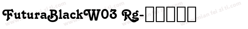 FuturaBlackW03 Rg字体转换